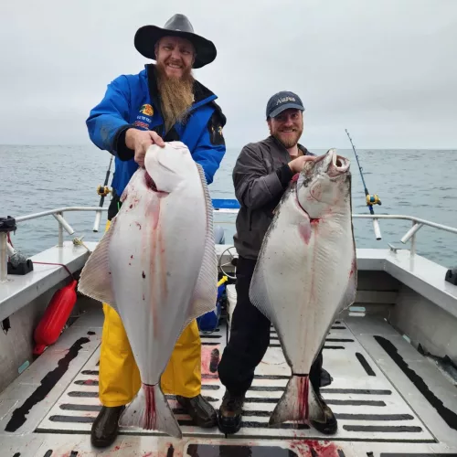 Yakutat Halibut Fishing